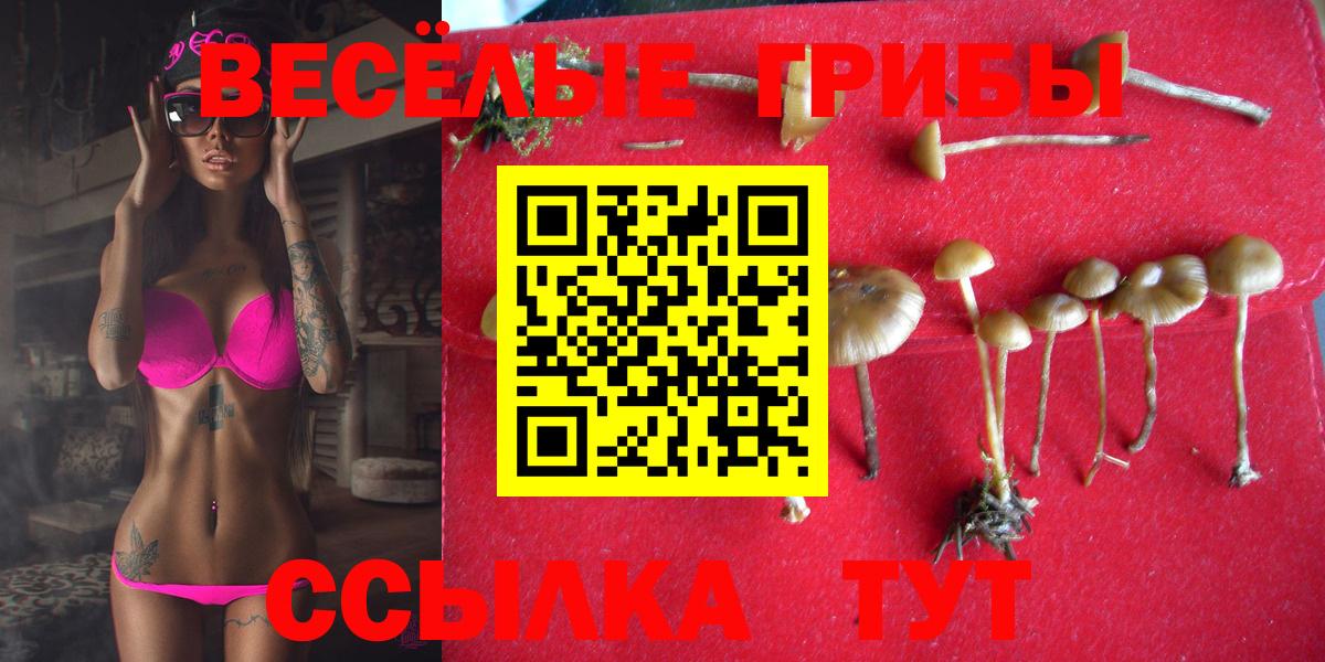 Псилоцибиновые грибы Magic Shrooms Кингисепп