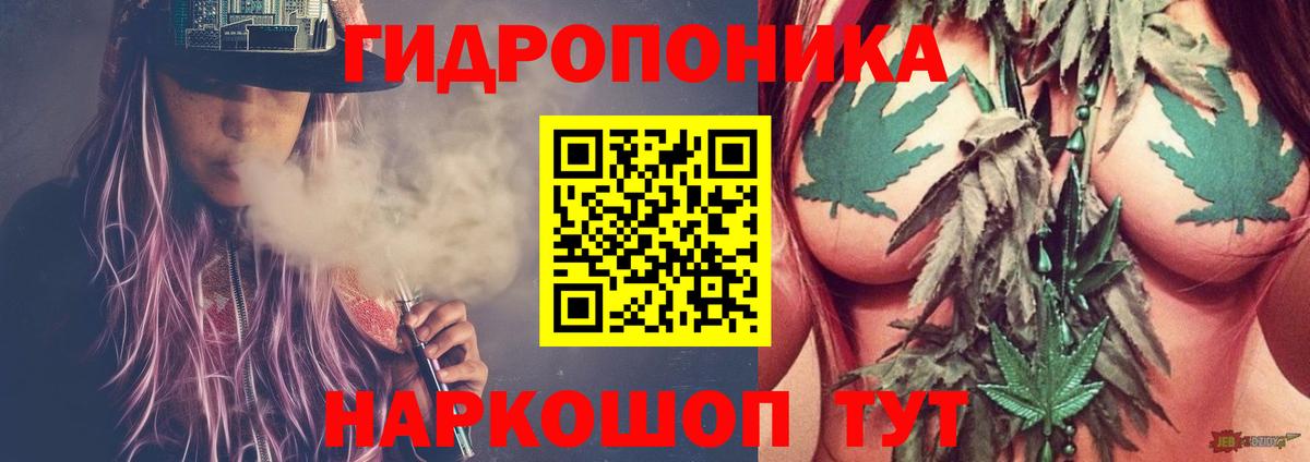 Меф Кингисепп